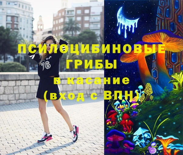 ПСИЛОЦИБИНОВЫЕ ГРИБЫ Алексин